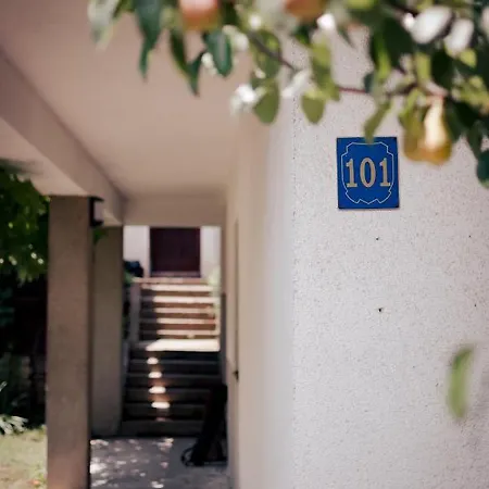 Music House アパート トゥズラ