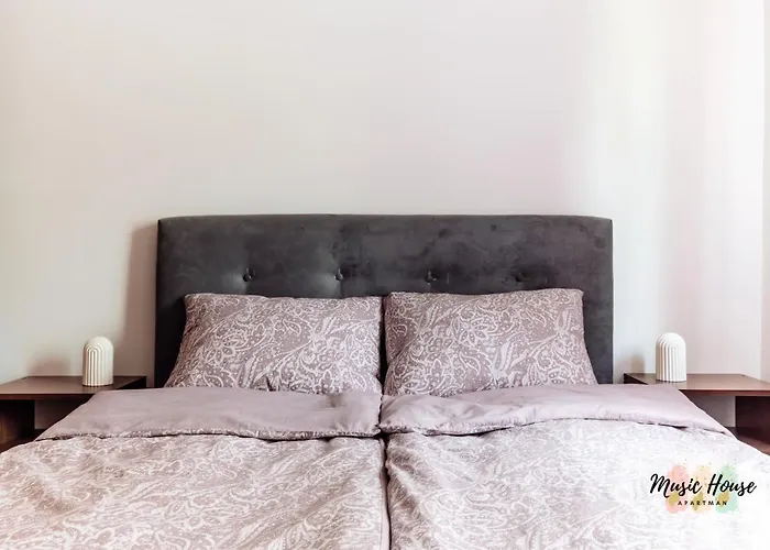 Апартаменты Music House Тузла